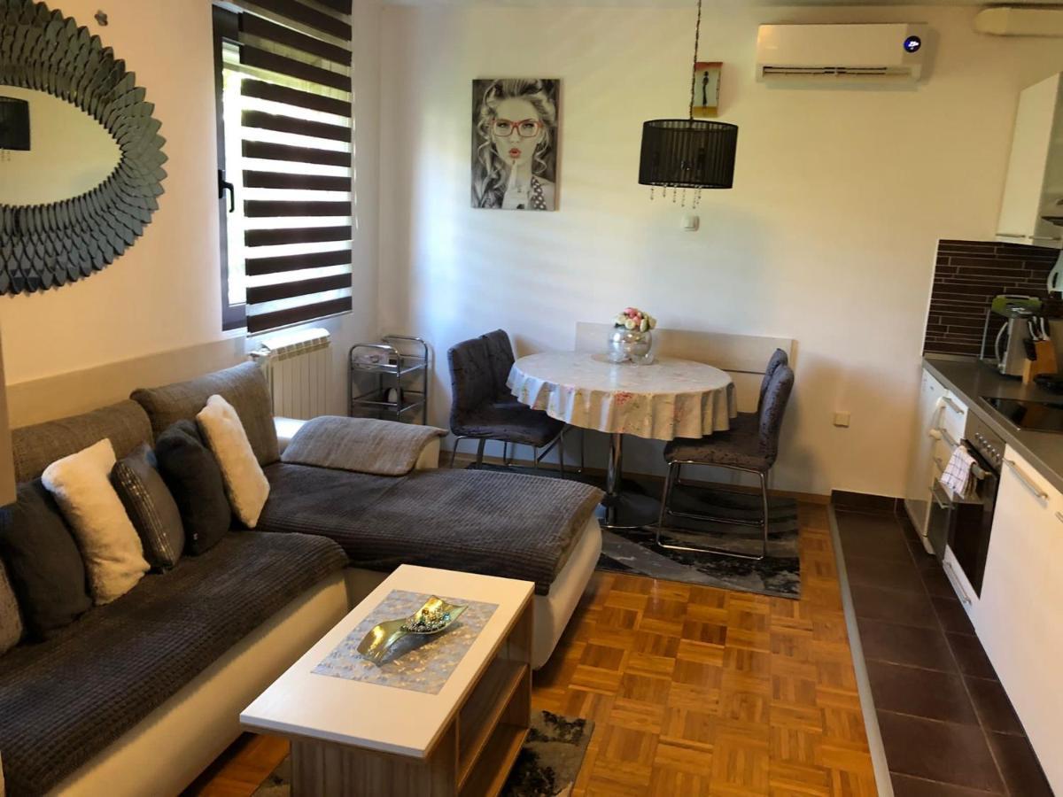 Apartment Sweet Dreams-Close To Zoo,Dinamo Stadium And The City Center زغرب المظهر الخارجي الصورة